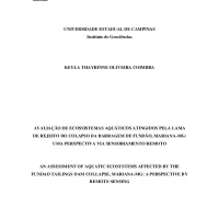 Avaliação de ecossistemas aquáticos atingidos pela lama de rejeito do colapso da barragem de Fundão, Mariana-MG: uma perspectiva via sensoriamento remoto
