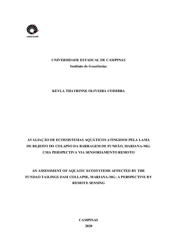 Avaliação de ecossistemas aquáticos atingidos pela lama de rejeito do colapso da barragem de Fundão, Mariana-MG: uma perspectiva via sensoriamento remoto