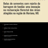 Bolas de sementes com rejeito da barragem de fundão: uma inovação na restauração florestal das áreas atingidas na região de Mariana, MG