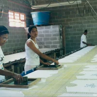 Confecção do Projeto Tamar