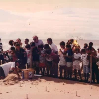 Abertura de ninhos de tartarugas