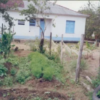 Exposição de ervas medicinais no Museu Histórico de Regência