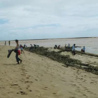 Projeto Verão Legal em Regência