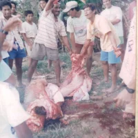 Captura de tubarão – Foz do rio Doce