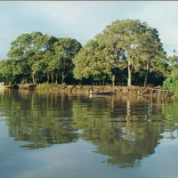 Porto histórico de Regência
