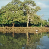 Antigo porto histórico de Regência