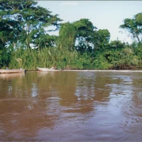 Rio Docem Regência – extravasamento de óleo