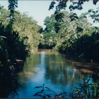 Rio Doce em Regência – braço do rio