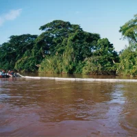 Derramamento de óleo no Rio Doce em Regência