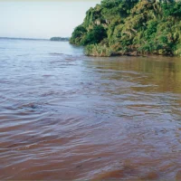Derramamento de óleo no Rio Doce em Regência