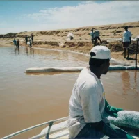 Rio Doce em Regência – Derramamento de óleo.