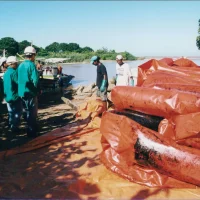 Pescadores – ação no derramamento do óleo