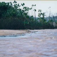 Paisagem na Foz do Rio Doce