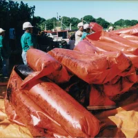 Derramamento de óleo