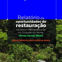 Relatório de oportunidades de restauração na bacia hidrográfi ca do rio Gualaxo do Norte, RESULTADOS DA APLICAÇÃO DA ROAM