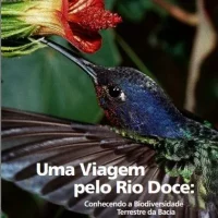 Uma Viagem pelo Rio Doce: Conhecendo a Biodiversidade Terrestre da Bacia