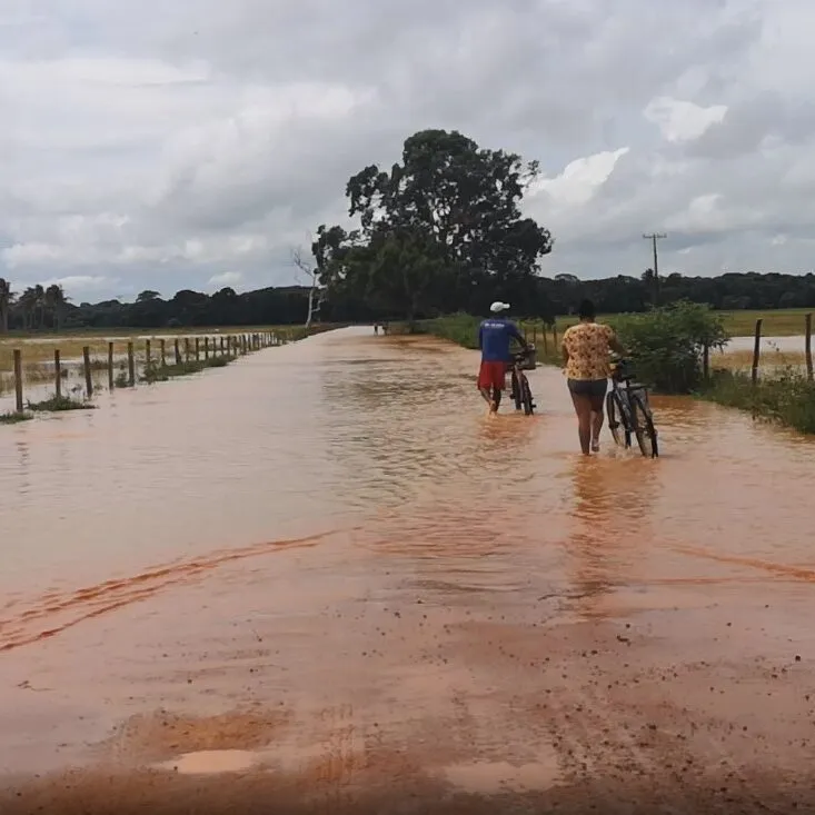 Vídeo Pílulas – Alagáveis