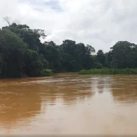 Vídeo Pílulas – Doce